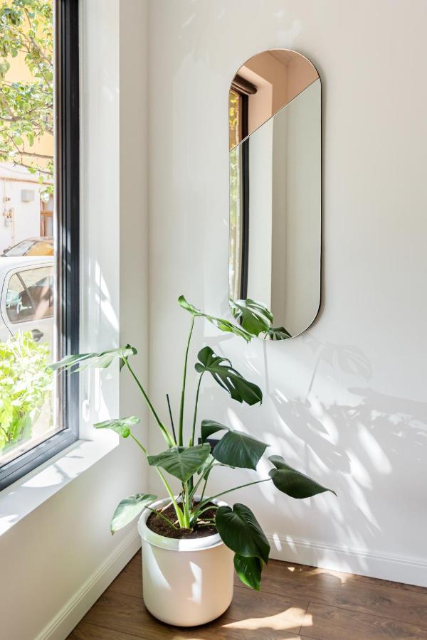קלוז'-נאפוקה Designer Apartment In The City Center מראה חיצוני תמונה