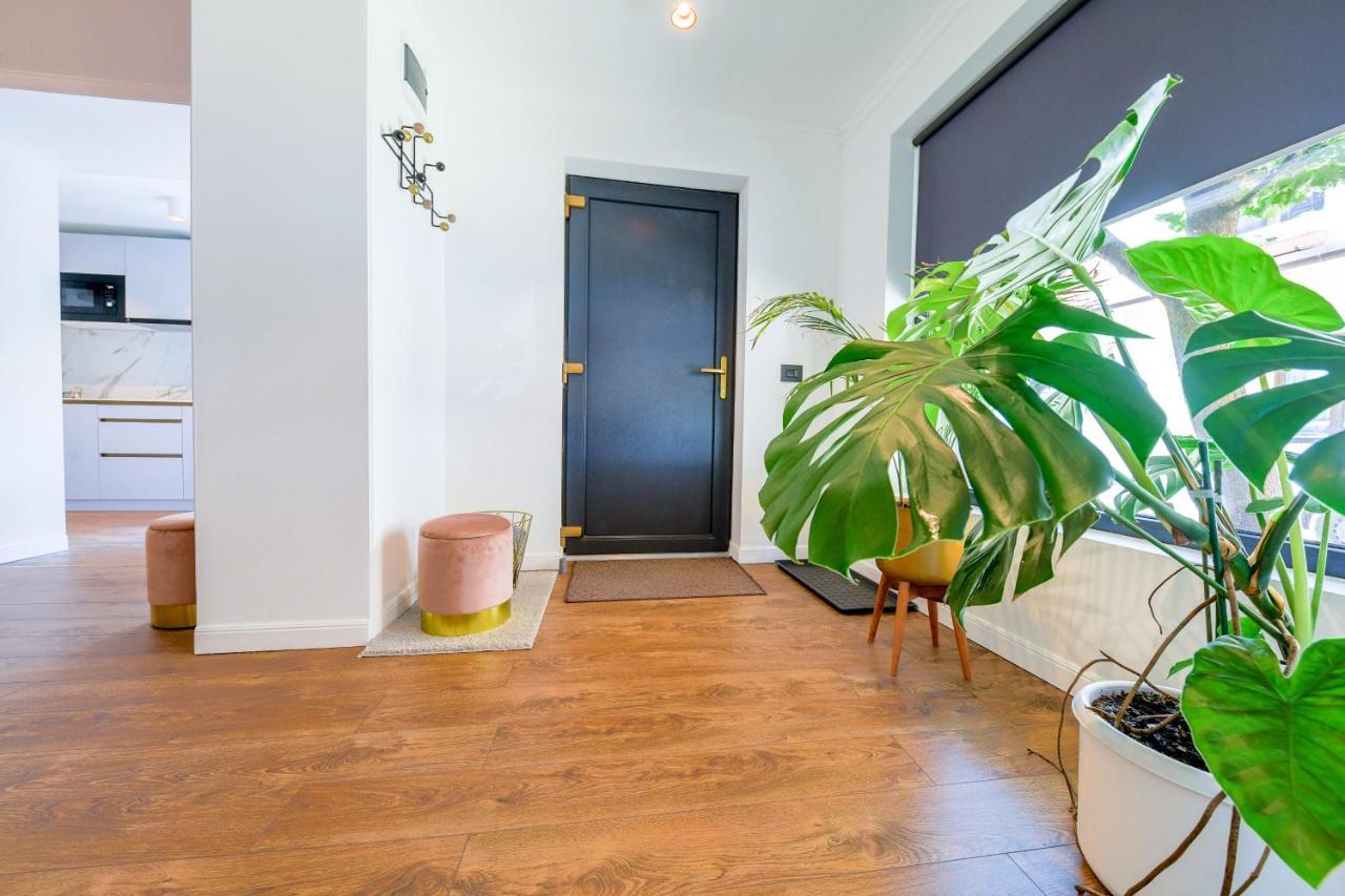קלוז'-נאפוקה Designer Apartment In The City Center מראה חיצוני תמונה